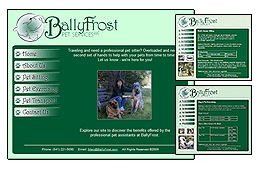 3Day Marketing Porfolio: BallyFrost Pet Services